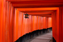 Walkway Under Orange Wooden Pillars, Kyoto, Japan