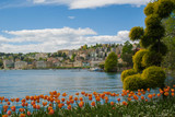 Fototapeta Tulipany - View of the lake and the city of Lugano, Switzerland on a sunny summer day.Beautiful city landscape, red blooming tulips in the foreground.