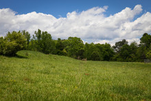 Gently Rolling Green Meadow With Treeline Behind, Clouds And Blue Sky Beyond, Horizontal Aspect