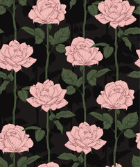 Wall Mural - Hand drawn flowering roses. Seamless pattern with pink roses. Vector illustration