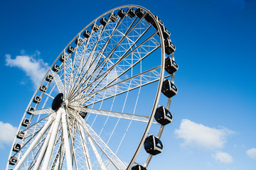 Miami Ferris Wheel