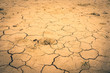 Draught, dry soil - global warming concept