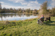 © Neil - Old man in a wheelchair overlooking a calm lake on a warm afternoon,Hampshire,UK