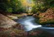 Fall foliage surrounding the swirling waters of a beautiful natural outdoors river.  This scenic autumn mountain stream landscape is just off of the Blue Ridge Parkway in Western North Carolina.
