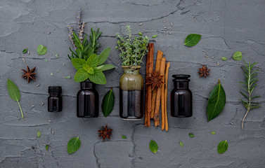 Wall Mural - Bottle of essential oil with fresh herbal sage, rosemary, lemon thyme ,thyme ,green mint and peppermint setup with flat lay on dark concrete background.