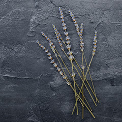 Wall Mural - Violet lavender flowers on dark concrete background.   Dry lavender flowers flat lay and copy space.