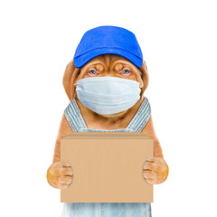 Wall Mural - Puppy wearing medical protective mask, blue cap and overalls holds big box. isolated on white background