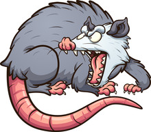 Angry Opossum Looking Back And Screaming. Vector Cartoon Clip Art Illustration With Simple Gradients. All On A Single Layer.
