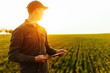 Young man farmer stands in a green wheat field with a tablet in his hands checking the progress of the harvest and looking sideway. Boy wearing green shirt and cap on the sunset. Agriculture concept.