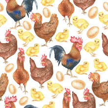Chickens And Hens Pattern