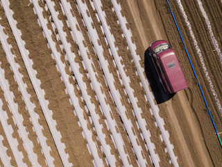 Wall Mural - Drip Irrigation greenhouse Systems In An Agricultural Field with farm van luggage car. Aerial top down drone shot.