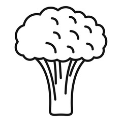 Poster - Fresh broccoli icon. Outline fresh broccoli vector icon for web design isolated on white background