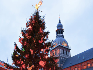 Poster - Riga Dome Cathedral and Christmas tree at Old Town reflex