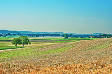 Poster - Fields Yverdon les Bains Jura Nord Vaudois Vaud Switzerland