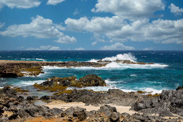 Canvas Print - Black volcanic rock on shore of Aruba