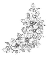 Wall Mural - Hand Drawn Dog-Rose Bunch with Flowers and Leaves