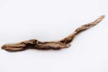 Driftwood/aged Wood Over White Background. Isolated Piece Of Driftwood Top View. Driftwood Stick Closeup, Wood Texture For Aquarium.