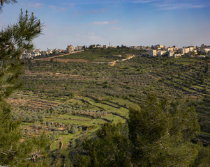 Mountain Agriculture in Israel