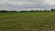 © Adam - green field and blue sky
