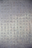 chinese hieroglyph