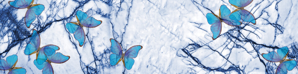 Aufkleber - Blue marble texture and blue morpho butterflies. abstract natural pattern for design. blue abstract background