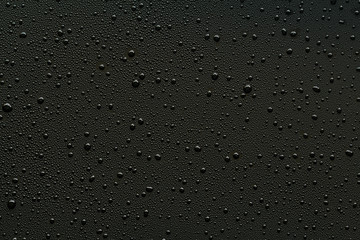 Poster - Water droplets on black background.
