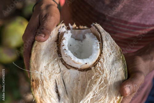 Fotografía Coco abierto por la mitad agarrado por las manos de un hombre