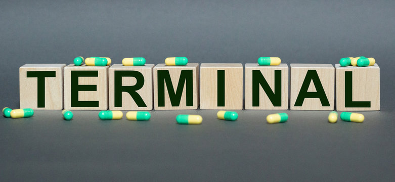 Mortal illness, terminal is written in wooden cubes on a gray background.