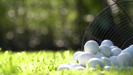 Wall Mural - Golf balls in basket on green grass for practice