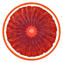 Poster - Grapefruit slice