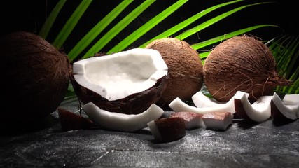 Wall Mural - Fresh raw coconut with palm leaves on rustic background.