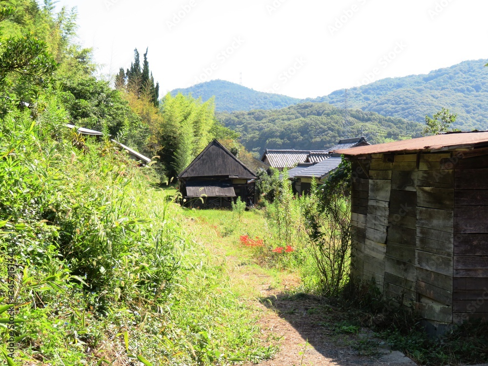 日本の田舎の風景 9月 花 田舎道の彼岸花 Do Sypialni Naklejki