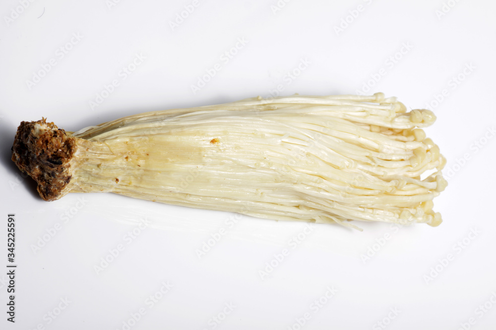 close-up-shot-of-enoki-flammulina-velutipes-is-a-mushroom-that-is