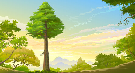 Wall Mural - a grounded view of a large tree and the blue sky