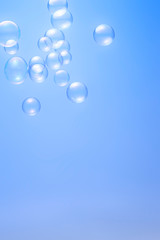Poster - Soap bubbles isolated on blue background