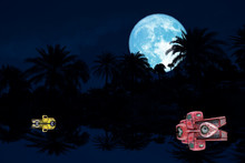 Full Flower Blue Moon And Reflection Silhouette Tree In The Forest Night Sky And Car