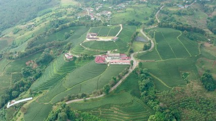 Wall Mural -  green tea area agricultural on the mountain at Chiang rai Thailand aerial view footage 4k from drone
