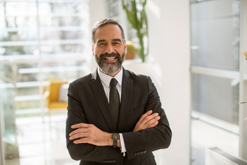 Mature businessman standing in an office