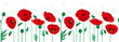 Seamless poppies flowers horizontal pattern on white background. Spring banner for your design. Stock vector illustration.