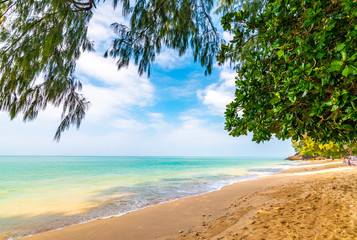 Beautiful summer beach at Koh Lanta island, Thailand. View from shadow of trees and palms growing in sand. Tropical paradise, vacation and relaxation. Turquoise sea, pure water. Vibrant colors.