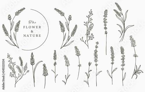 Photo Black lavender logo collection with leaves,geometric