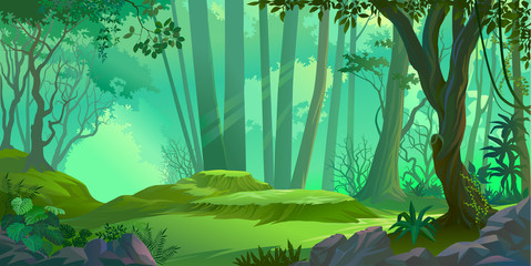 Sunrays falling deep into a thick jungle