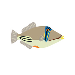 Wall Mural - Picasso triggerfish fish icon on white background. Vector illustration.