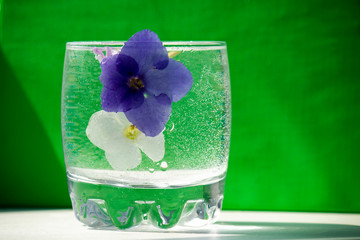 Glass of sparkling water with two flowers of violets of blue and white on a green background