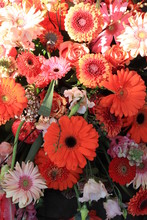 Gerbera Bouquet In Orange And Pink