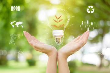 Human hand is holding light bulb on green, save earth concept.