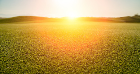 Wall Mural - background of green grass