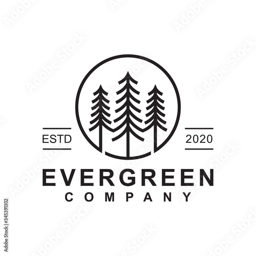 Cuadros en Lienzo pine evergreen or conifer cedar coniferous cypress larch, pine tree forest vinta