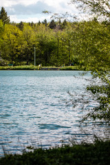 Wall Mural - stairs into lake