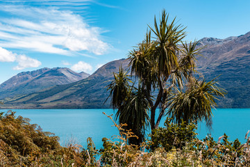 Sticker - lake Wakatipu, New Zealand